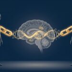 Trauma bonding: por que a vítima de abuso ama o agressor (guia clínico)