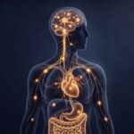 Sinais físicos do trauma narcísico: o que o corpo guarda quando a mente cala (guia médico)
